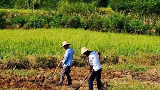 发小在我家吃住3年，当领导后不再联系我，我走投无路时他出现了