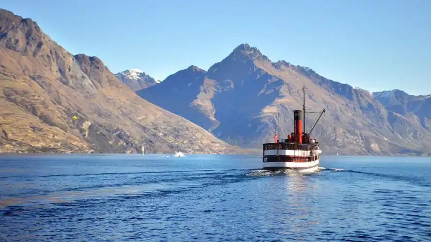 紧跟移民新潮流，新西兰BIV签证：商业精英海外新选择