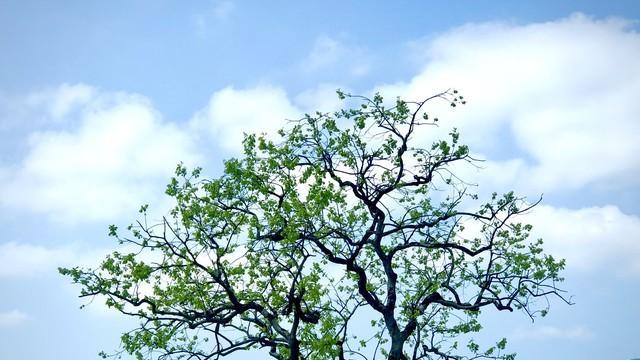 双鱼座要笑醒了 12月19日周五，你将会有幸遇见助你顺遂的三位贵人