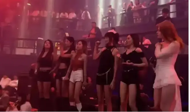 《野性首尔》韩国高能犯罪电影在线播放