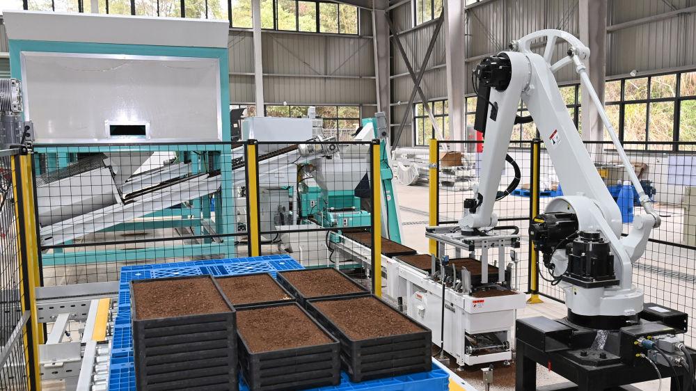 希望的田野 丰收的礼赞——写在第八个“中国农民丰收节”