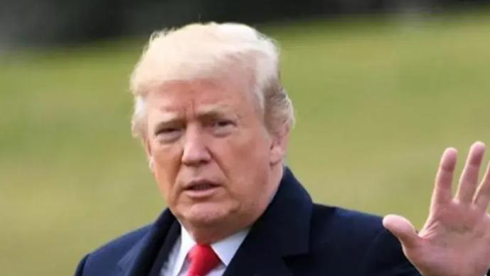 特朗普刚上台，替代泽连斯基的人就出现了，普京做梦都能笑醒