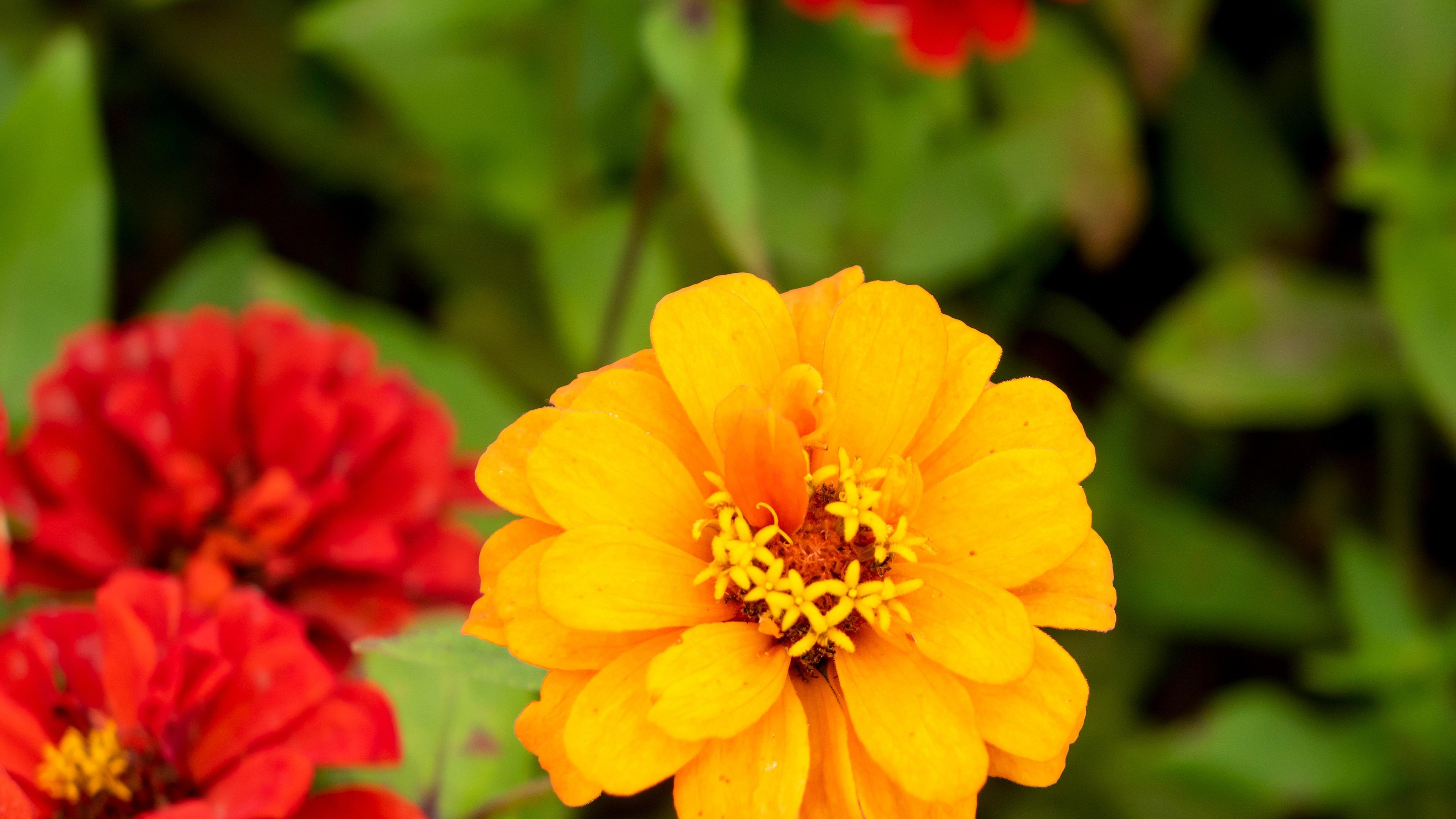 “十五五”，中国的三把隐藏王牌