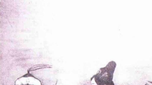 完颜亮：靠演技上位，用阴谋夺权，一生纵欲享乐，却被自己人所杀