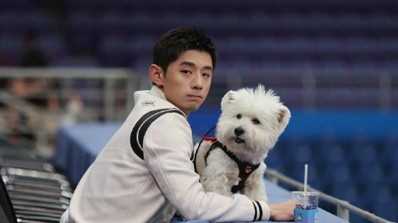 张继科女友的前夫，竟是白百何现任老公？娱乐圈关系网比毛衣还密，这是巧合还是闭环？