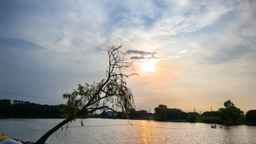 湿地黄昏的“香肠”与飞檐：一场意外写生，画错了反而懂了美