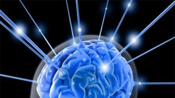 智力与词语的数量相关