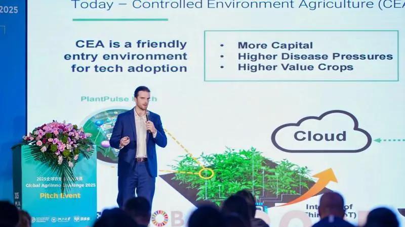 科技青年们用AI养猪，拼多多的“2025全球农创客大赛”让我大开眼界