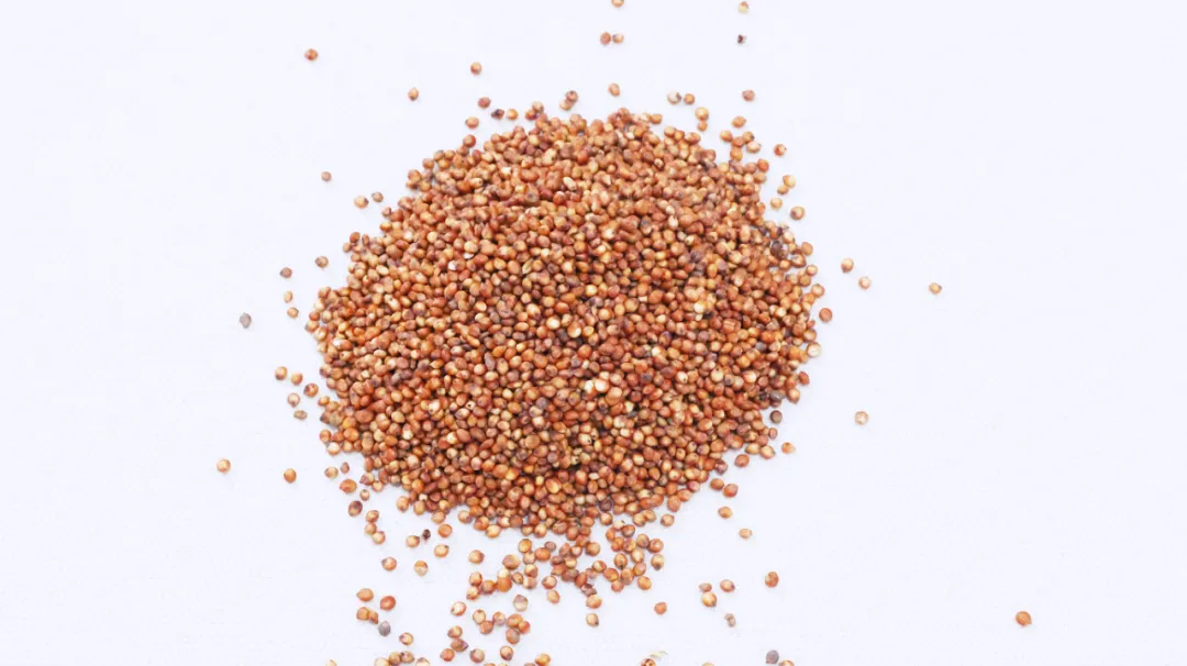 《黄帝内经》秘传：千古失眠第一方，不仅能治失眠，还能去除湿气