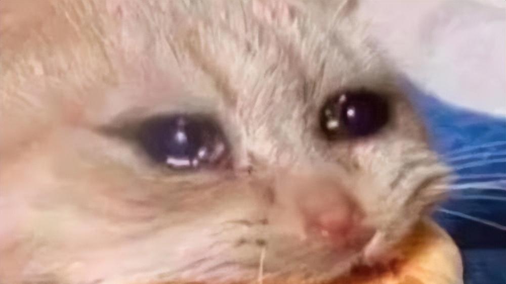 删掉商城卖金币后，《大唐无双》想让每个人都能赚到钱