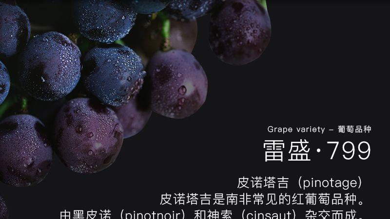 雷盛799南非干红——南非经典，唇齿留香