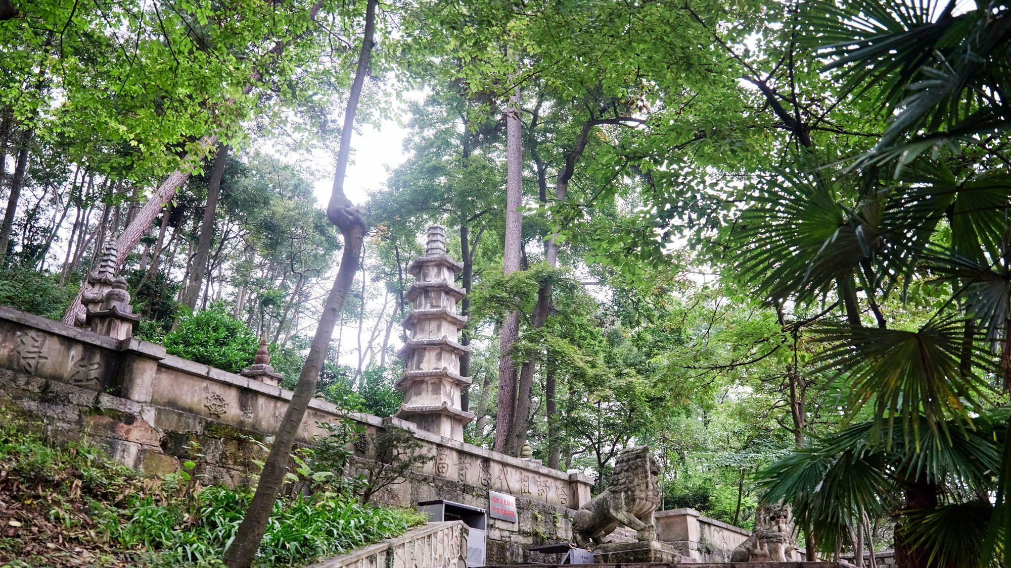 贵阳黔灵山公园，环境优美，地铁直达，这里是近距离撸猴的好地方