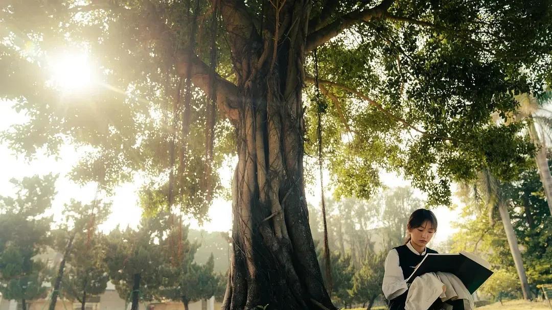 “看完一遍，还想重刷”的五部剧，你要是全都看过，那真是眼尖！