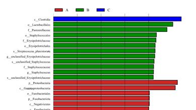 天津农学院功能饲料与营养调控团队揭示二甲酸钾对樱桃谷肉鸭生长性能、营养物质表观消化率、肠道菌群的影响