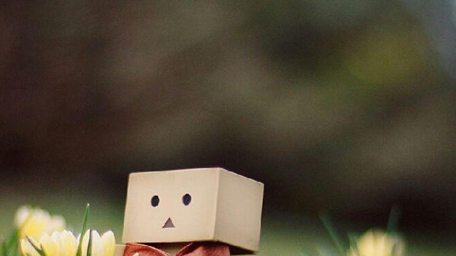 成年人的顶级奢侈：不是爱马仕，而是不必设防的心