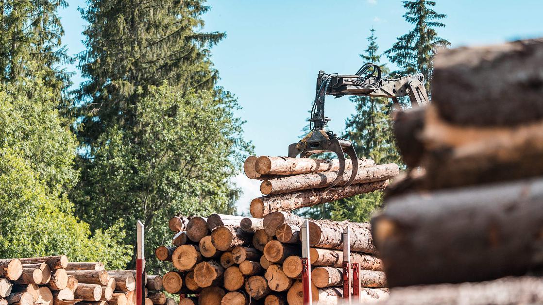 对木材加征更高关税，但为何仍不足以刺激林业投资？