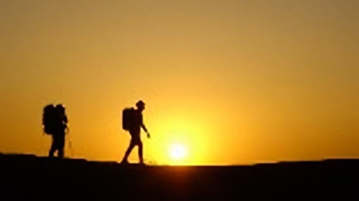 努力的诗意：那些看似徒劳的坚持