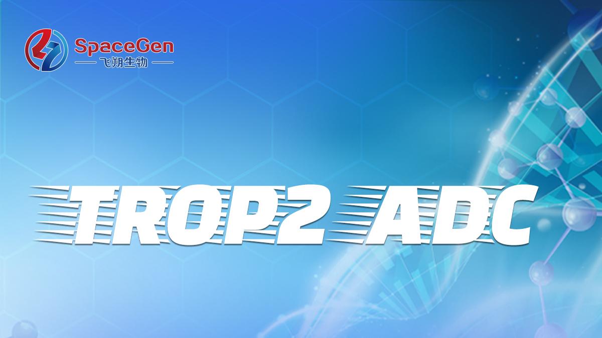Trop2 ADC国内获批，突破HR+/HER2-乳腺癌耐药困局