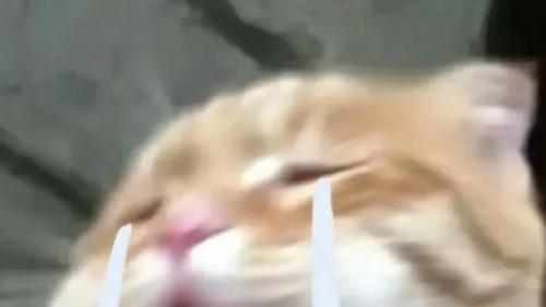 学会这一招，大学生「二课打卡」更轻松高效！