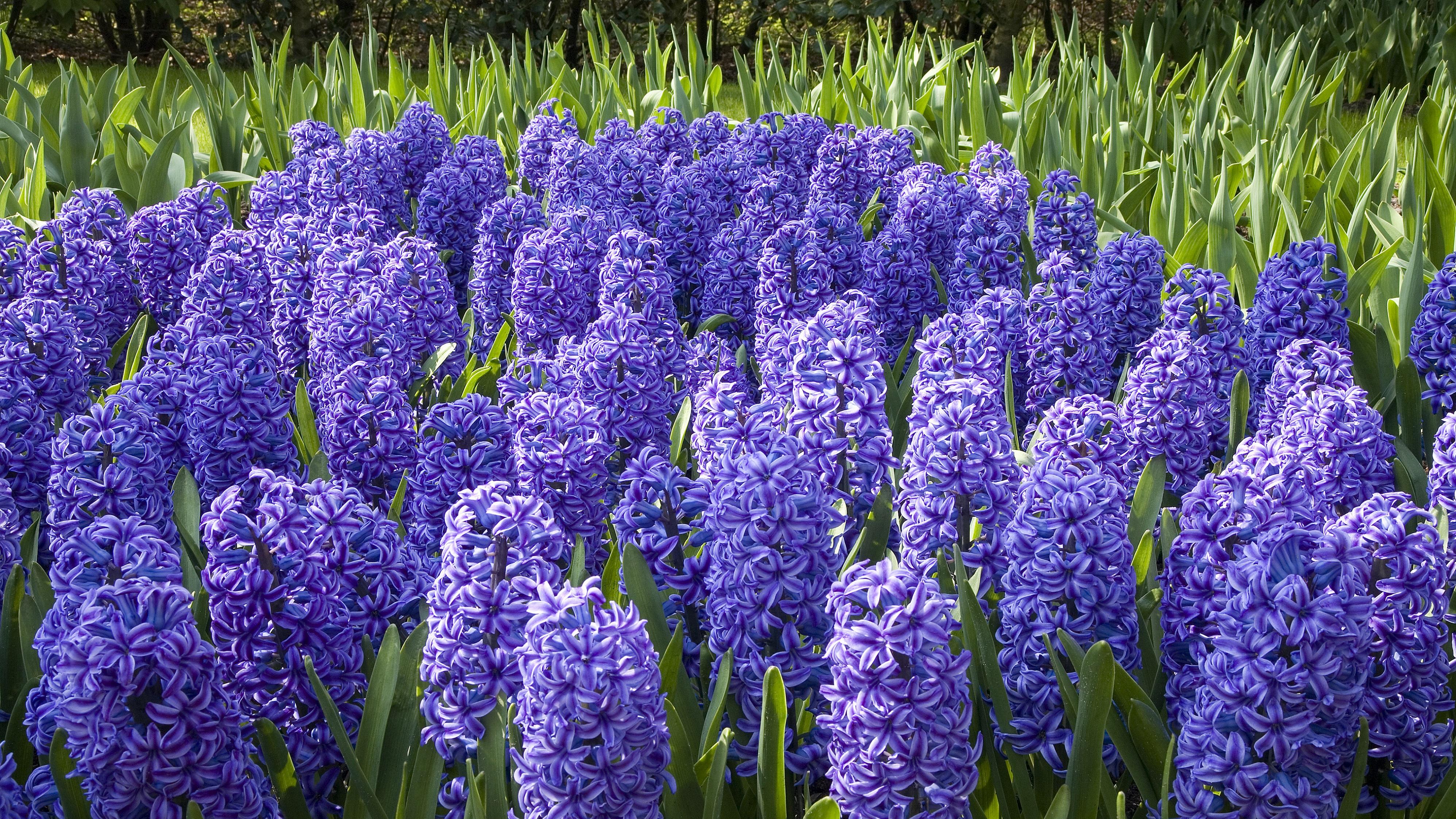 美国“斩杀线”：一步踏空，人生清零？