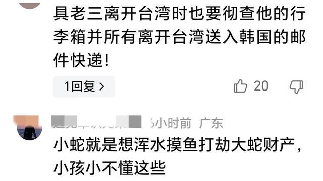 作家陈岚一语点醒：大S一金银细软价值不菲，小S鸠占鹊巢，何意？