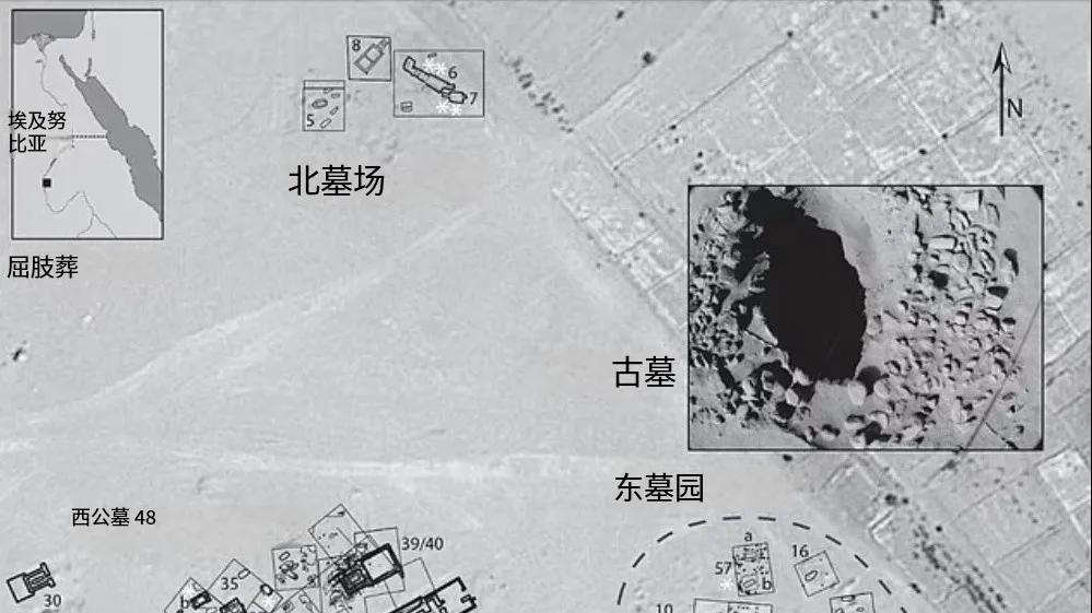 金字塔千年谜团被破解？工人遗骸颠覆历史，贵族墓中竟藏平民真相？