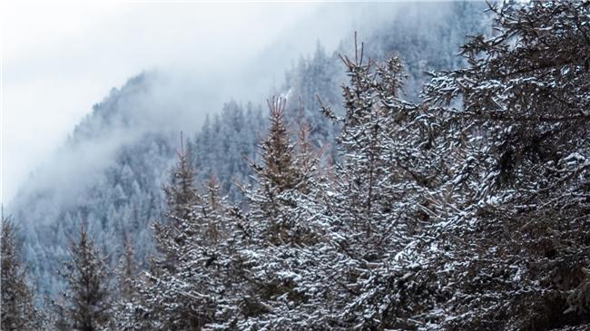 昊铂GT Lite版：年轻性能轿跑的“硬核实力”藏在哪