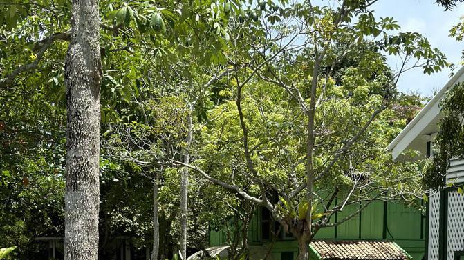 第二次马来•兰卡威的天空