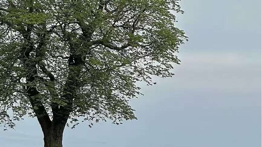 觉醒时刻：一个人开窍后，会真正理解这四件事