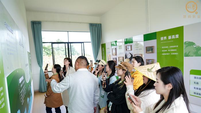 溯源云南腾冲黄金奶源带，悠纯乳业构建从牧场到信任的品质闭环