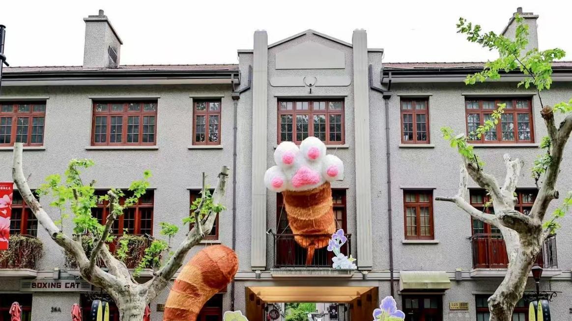 思南公馆 “橘 BOSS” 身旁，竟藏着能让品牌爆火的秘密武器？