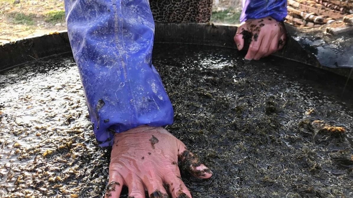 紫菜下锅前要不要洗？看海边人怎么说