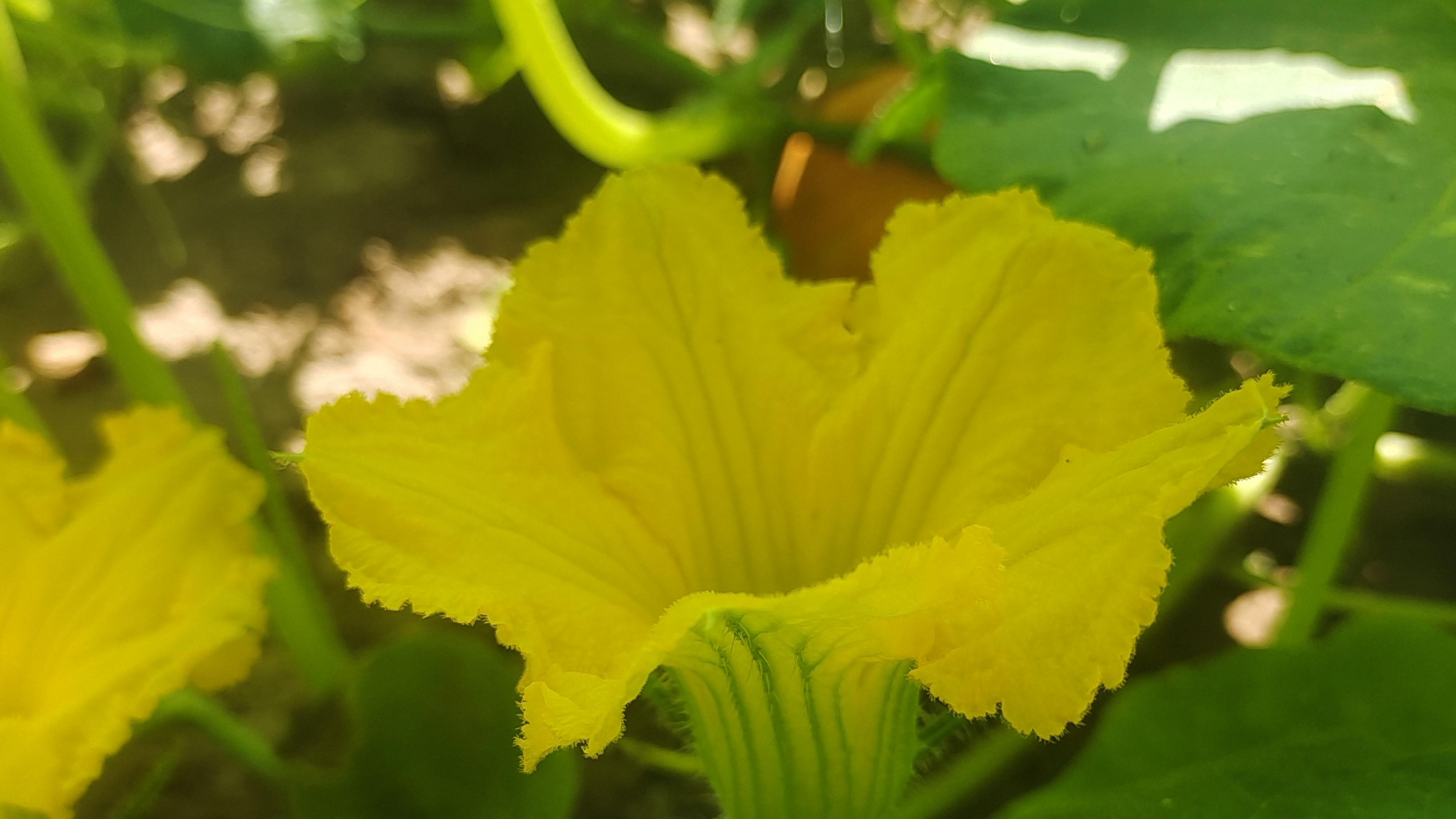 人活着，“傻”一点更好