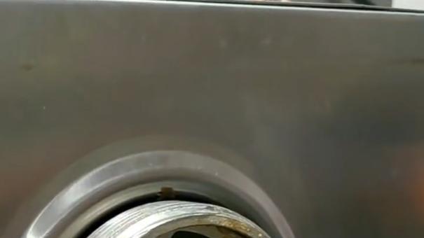 食堂里的蛆虫：校园食品安全何时让人真正放心？