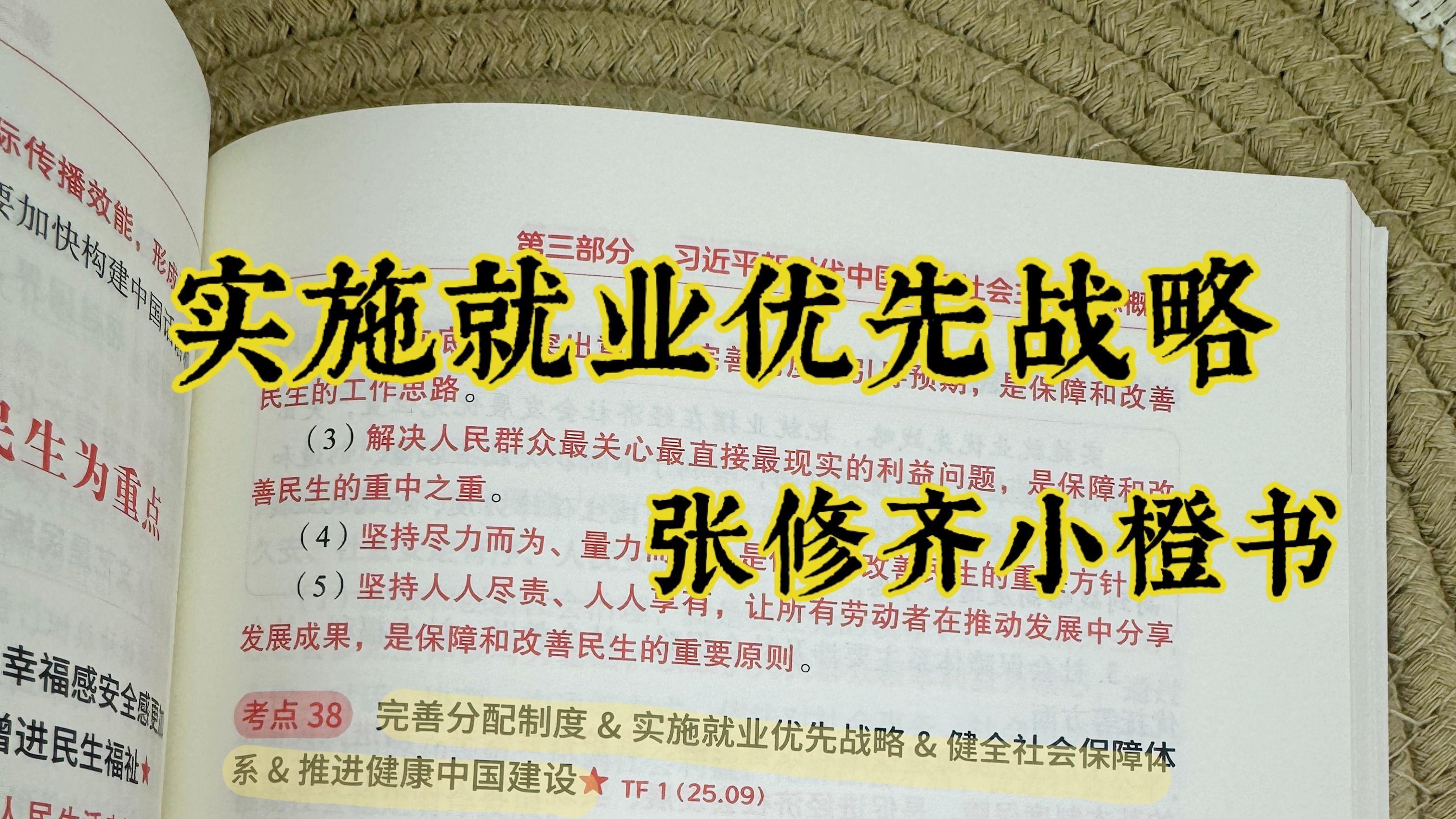 实施就业优先战略-张修齐小橙书