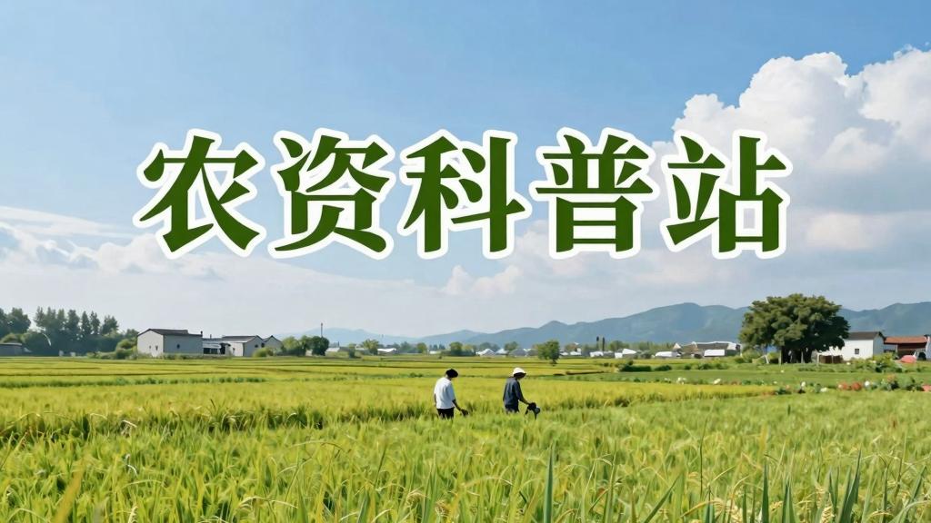 冬季大棚土壤改良：别再瞎施肥了！高碳氮比有机肥才是救地关键