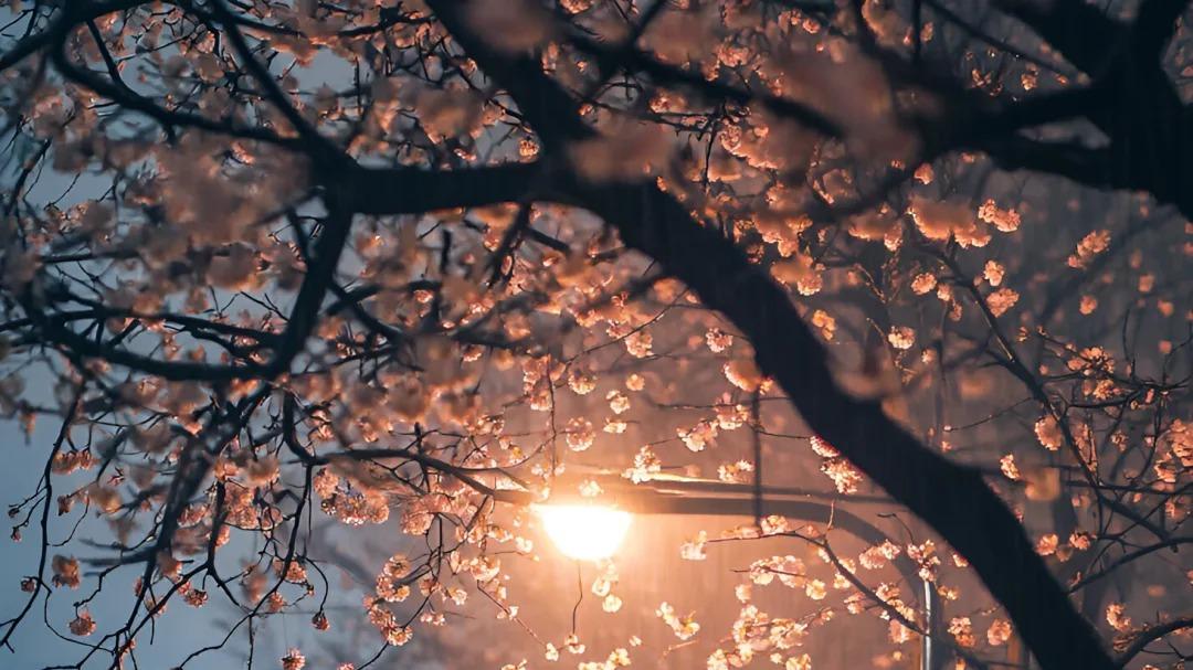 分手了，深夜的你，还在偷看TA的朋友圈吗？