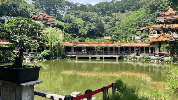 推荐一本佛系老干部魔尊男主VS睚眦必报黑莲花女主的修仙文