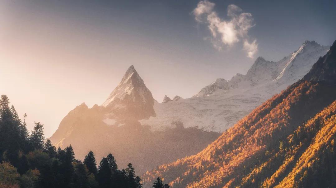 该扔则扔，该舍则舍