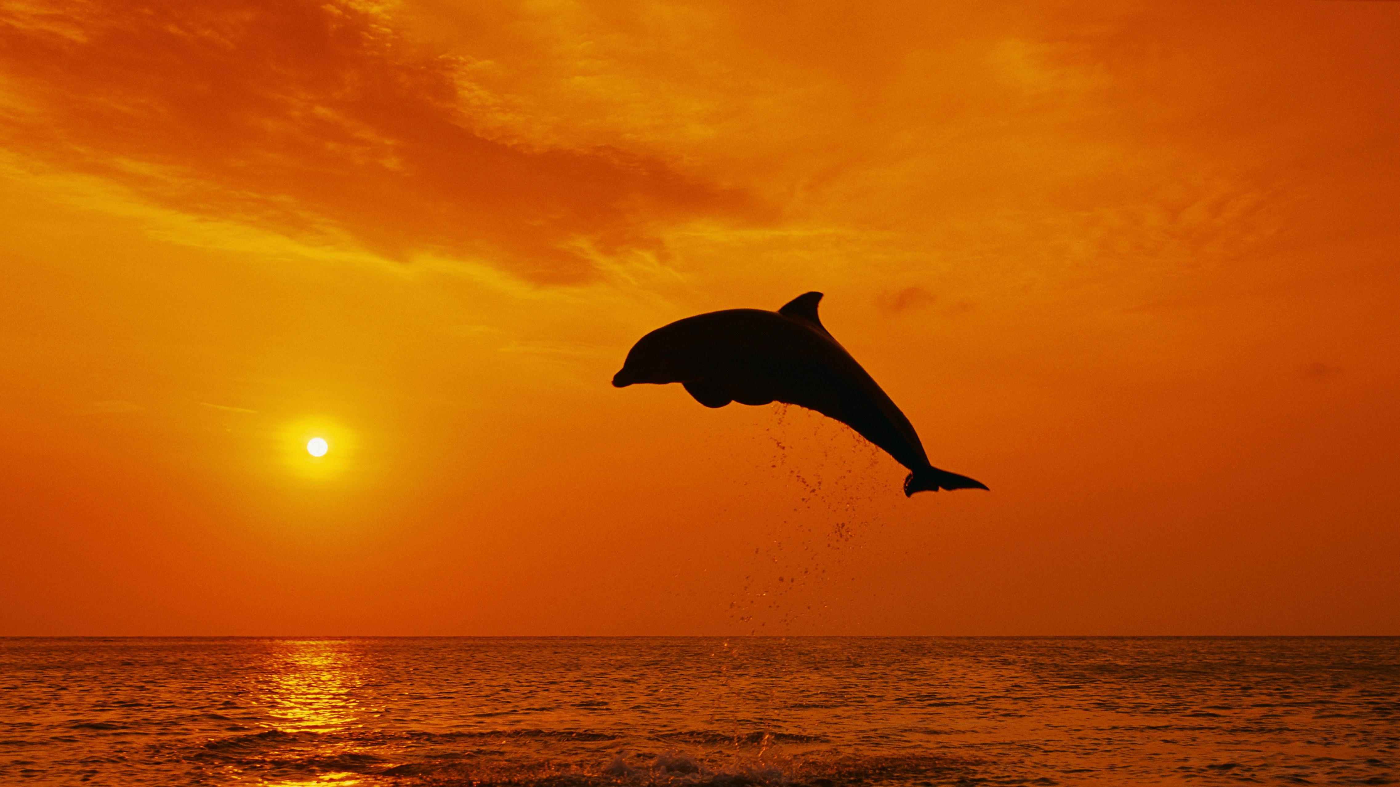 为什么牛奶是方的？洞悉世界经济学真相！