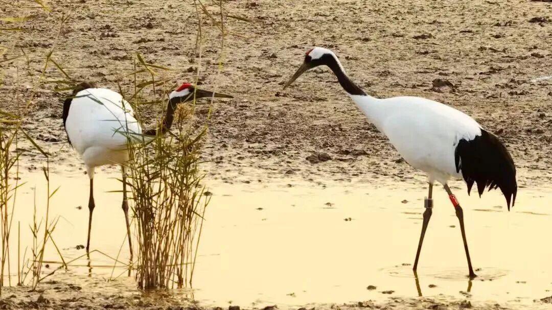 编号YC257，这次把对象带回盐城了