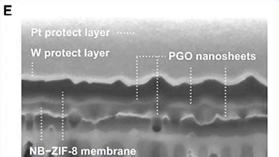 仿墨鱼骨MOF膜，实现300小时稳定烃分离，工业应用再进一步