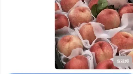 薅羊毛、摄影赛拿奖、法庭造伪证、攻击友商……AI造假失控了！