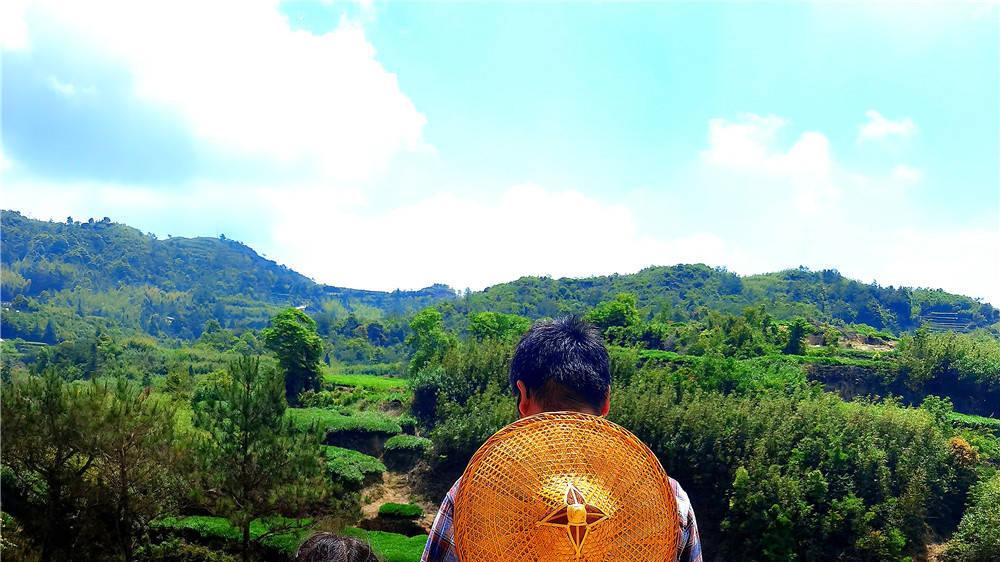 这个五一，厦门军营村的乡野文旅体验，太丰富了！
