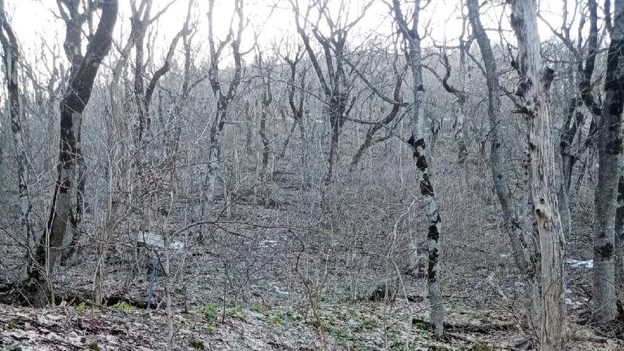 探访前苏联“贝什套山”矿区