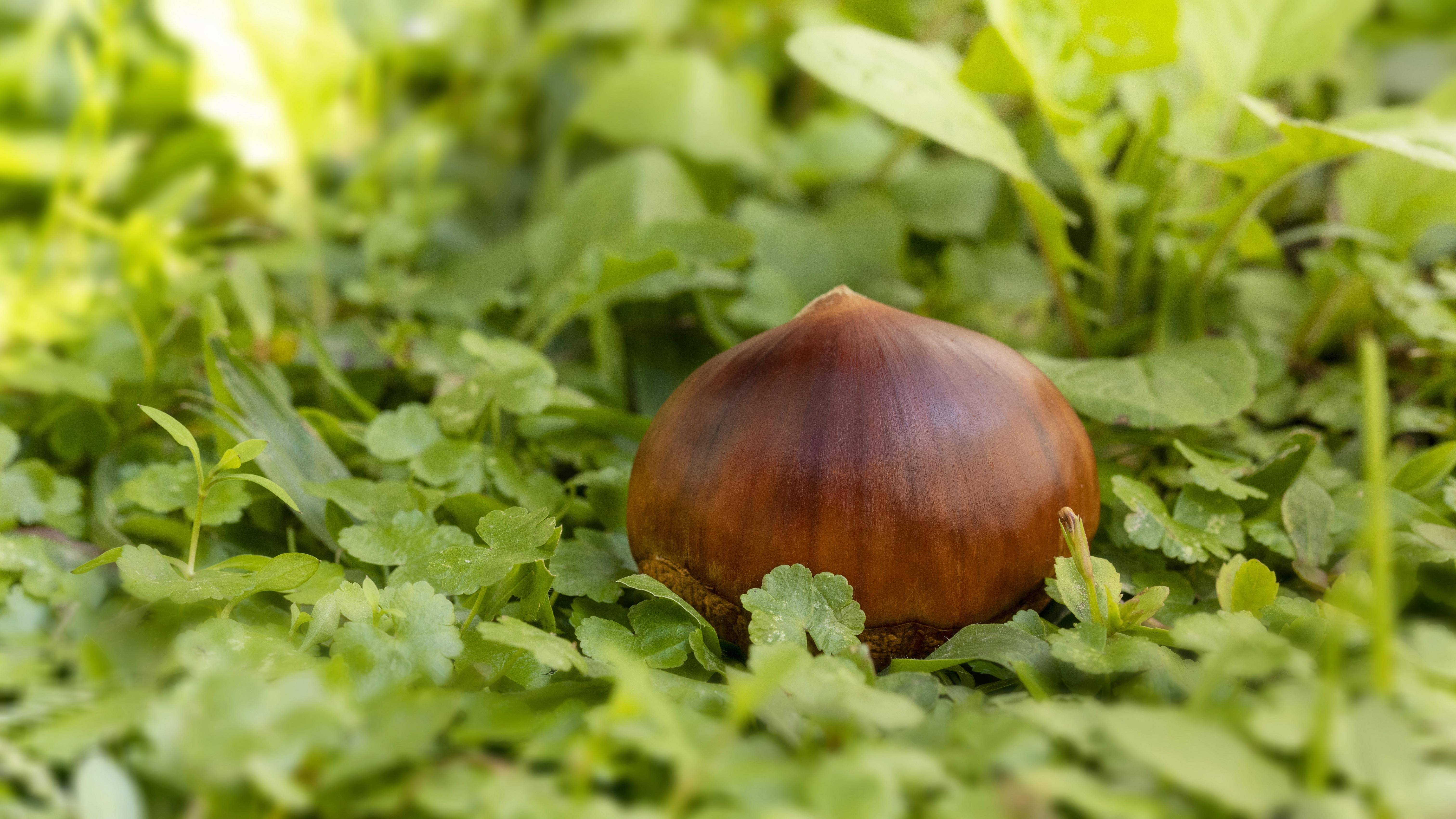 游戏爆发，锂矿狂飙，债市小憩
