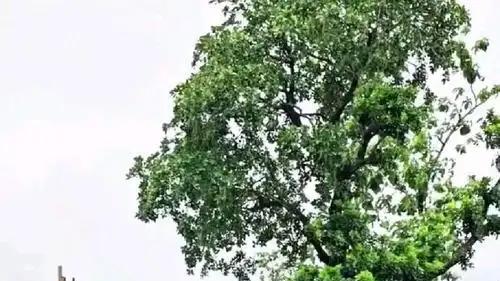 长期缺水，印度一男孩独自挖水库遭人嘲笑，27年后他做到了