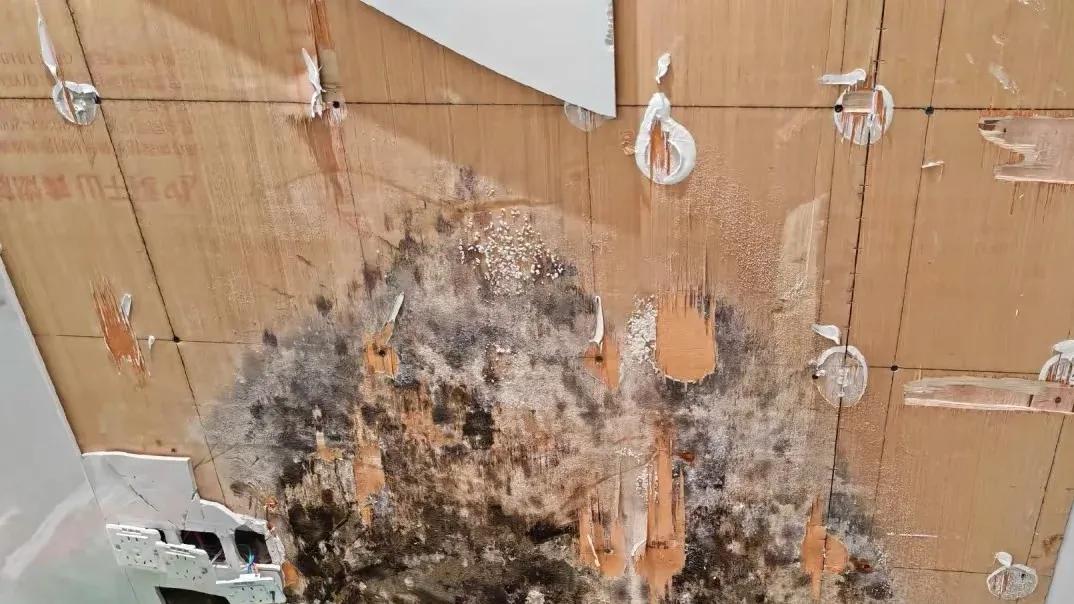 青岛通和启章小区精装房壁纸发霉！网友：真恶心！