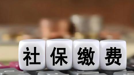 企业社保申报提速，印象人事补上多场景服务短板