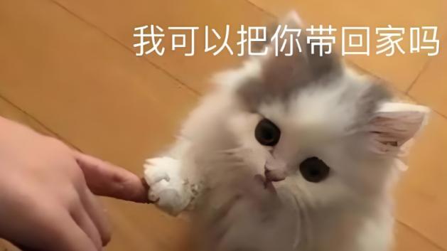 领克Z20交付背后的用户至上哲学，福利升级超乎你想象！